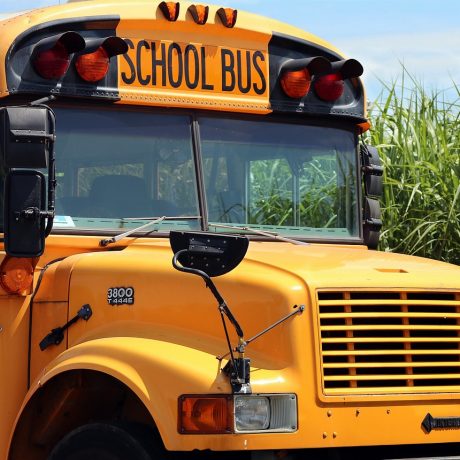 school bus school bus transport 4406479
